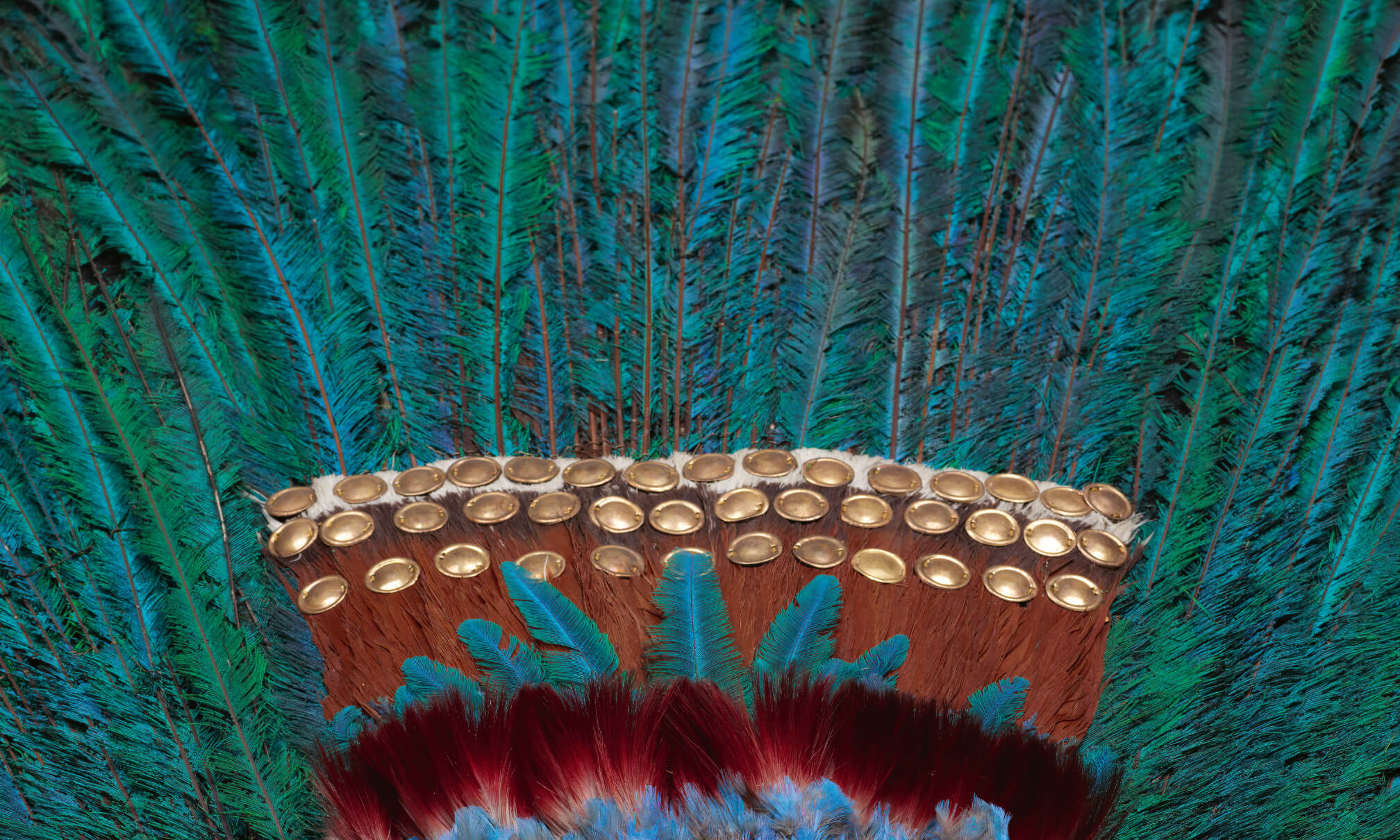 Detailaufnahme des Penachos mit roten und grün-blauen Federn