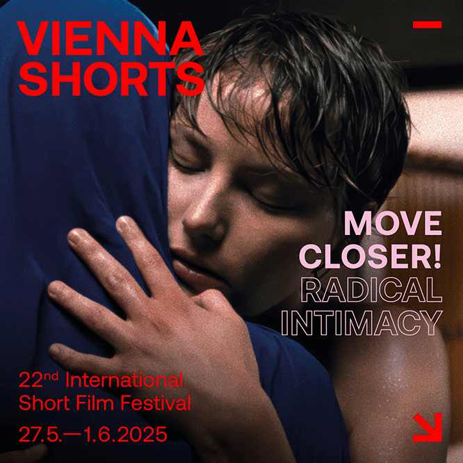 Banner: VIS Film Festival 2025